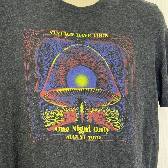 Bella & Canvas - Vintage Dave Tour One Night Only Graphic Dark Gray T Short LG - Picture 3 of 9